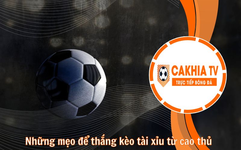 Những mẹo để thắng kèo tài xỉu từ cao thủ của CakhiaTV